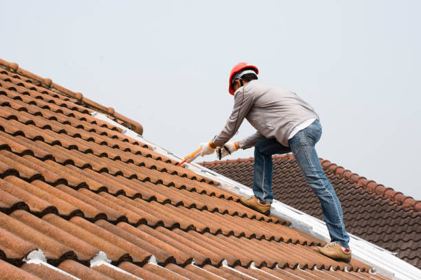 Best Roof Maintenance and Cleaning  in Burlington, IA